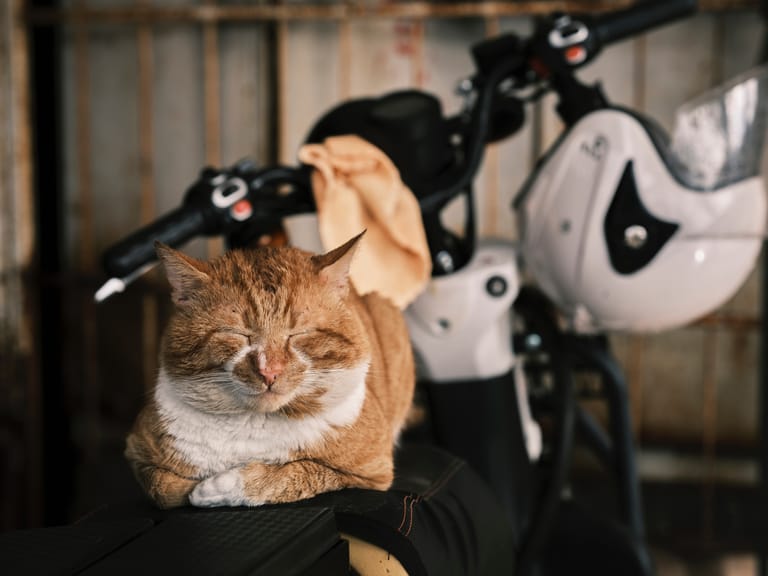 Engin Akyurt Fggsyze Pz4 Unsplash